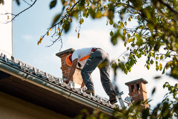 Fast & Reliable Emergency Roof Repairs in North Hornell, NY